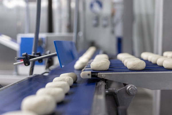 Modern production facility with blue conveyor belts for dough pieces in a sterile hall.