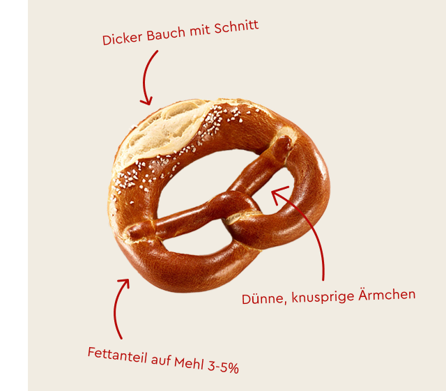 Schwaebische Brezel mit Merkmalen: dicker Bauch mit Schnitt, duenne knusprige Aermchen.