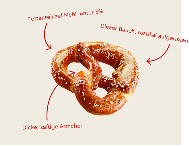 Bayerische Ditsch-Brezel mit Merkmalen: fettarm, dicker Bauch, dicke Aermchen.
