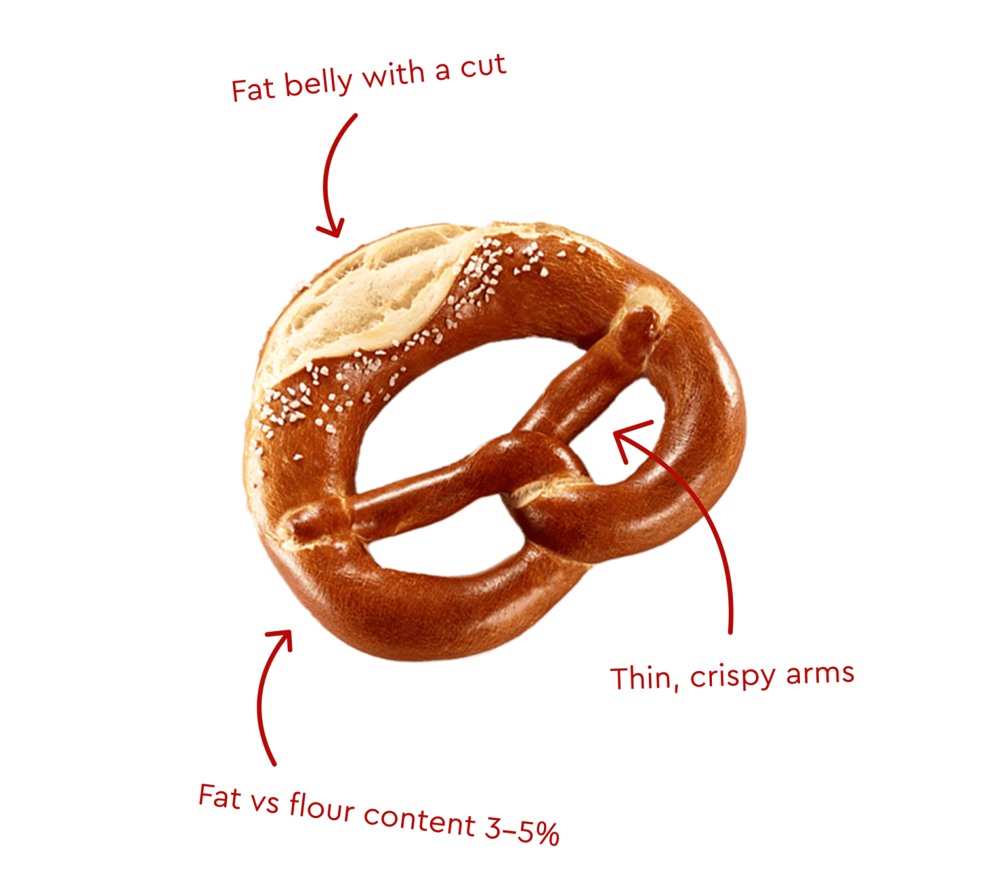 Swabian-style pretzel with a cut belly, thin crispy arms and 3–5% fat-to-flour content.