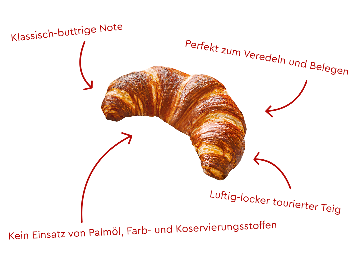 Freigestelltes goldbraunes Ditsch-Laugencroissant in klassischer Halbmond-Form. Ergänzt durch Keyfacts.