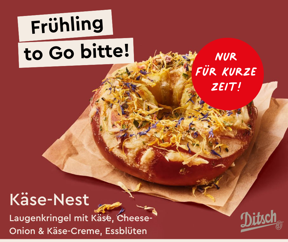 NEW: Cheese Nest 🧀✨